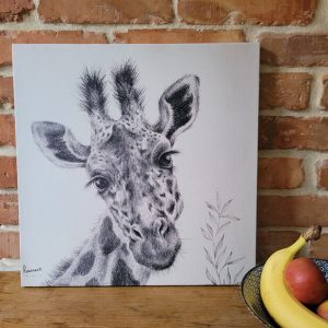 printas zirafa